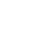 smartphone icon