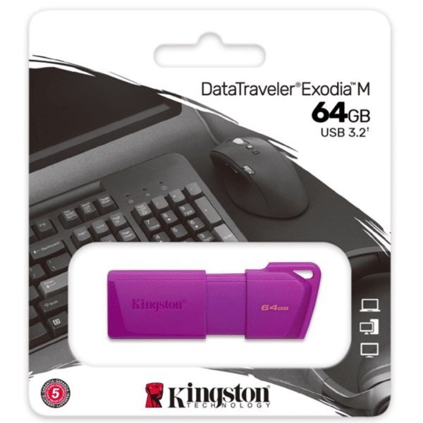 FLASH MEMORY KINGSTON 64GB EXODIA DTMX NEON